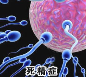 男性死精子能治好吗