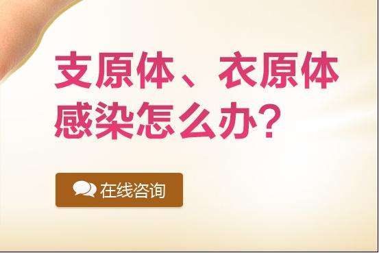 什么是支原体、衣原体？怎样治疗？