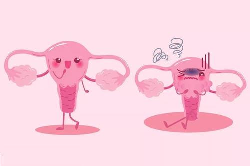 同房前后不洗澡，女性患上阴道炎