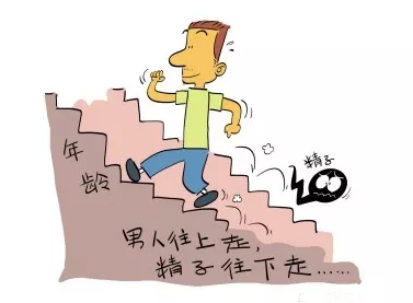 “造人计划”失败？这个原因需知晓