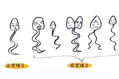 不规律工作,“小蝌蚪”闹腾